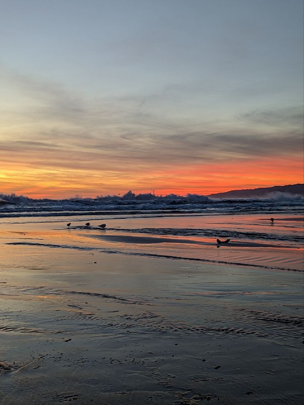 Закаты конечно тут огненные, хорошее окончание дня, открыл себе новую 