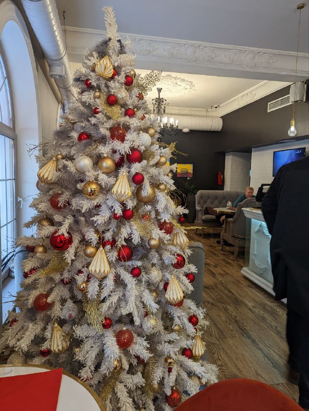 Всем привет.Говорят наступила зима, тут пока не ощущается, зелень пока ещё есть, хоть и листва желтеет и опадает.По новостям, записался на приём в посольство на 28 декабря на Барбадосе, о боги, кто бы мог подумать, что я когда нибудь побываю на карибских островах, вспоминаются зимние холодные вечера в детстве, когда пересматривали в очередной раз пиратов Карибского моря.Поэтому и выезжать нужно чуть заранее, билеты куплены, выбрал самый оптимальный маршрут, как по времени, так и по цене, Ташкент - Стамбул - Панама, с короткой пересадкой (1.5 часа) в Стамбуле и ночёвкой в аэропорту Панамы и с утра уже до Барбадоса.Была бы европейская виза, можно было бы подобрать более интересный маршрут, но не в этот раз...Я уже успел привыкнуть к ташкенту, к людям, общению, погоде и вот снова все меняется, но ничего, поглядим чем это обернется.Из неприятных новостей банки корреспонденты стали останавливать Swift переводы на грузинские счета россиян, столкнулись многие знакомые как и я, поэтому буду размораживать армянское ИП. Всем мира!!!Всем привет.Говорят наступила зима, тут пока не ощущается, зелень пока ещё есть, хоть и листва желтеет и опадает.По новостям, записался на приём в посольство на 28 декабря на Барбадосе, о боги, кто бы мог подумать, что я когда нибудь побываю на карибских островах, вспоминаются зимние холодные вечера в детстве, когда пересматривали в очередной раз пиратов Карибского моря.Поэтому и выезжать нужно чуть заранее, билеты куплены, выбрал самый оптимальный маршрут, как по времени, так и по цене, Ташкент - Стамбул - Панама, с короткой пересадкой (1.5 часа) в Стамбуле и ночёвкой в аэропорту Панамы и с утра уже до Барбадоса.Была бы европейская виза, можно было бы подобрать более интересный маршрут, но не в этот раз...Я уже успел привыкнуть к ташкенту, к людям, общению, погоде и вот снова все меняется, но ничего, поглядим чем это обернется.Из неприятных новостей банки корреспонденты стали останавливать Swift переводы на грузинские счета россиян, столкнулись многие знакомые как и я, поэтому буду размораживать армянское ИП. Всем мира!!!