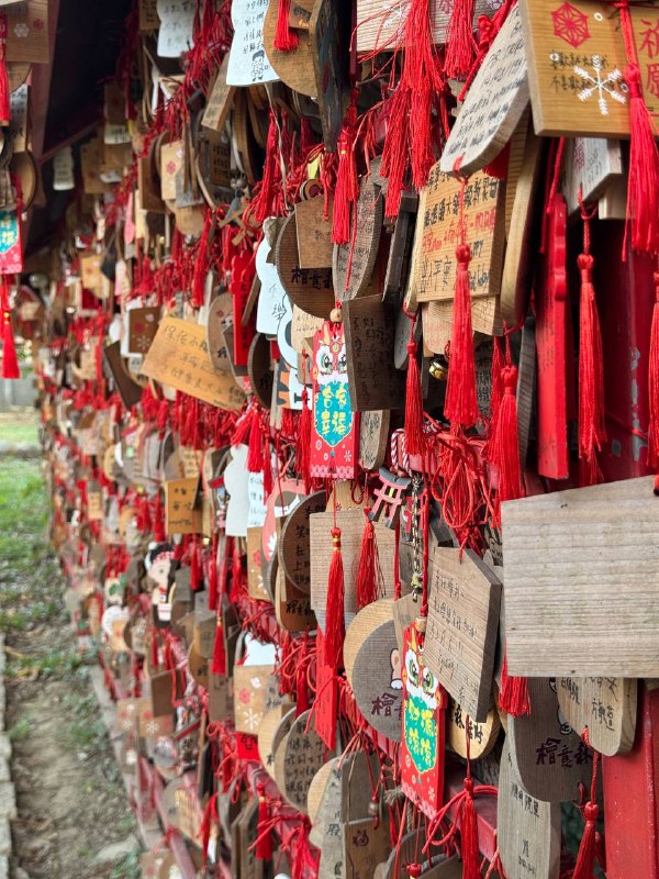 Всем привет, небольшой отчет об активной социализации!Когда я только прилетел на Тайвань и был в Тайбэе, в местном ру чате собрались с ребятами погулять, четверо по итогу нас было, до отъезда в Гаосюн гуляли как раз этой компанией +-. После были неудачные попытки собраться на шашлыки к одному участнику новоиспеченной группы, у нее муж местный и они живут в доме.И вот спустя несколько месяцев пришлось взять инициативу и запушить всех, чтобы наконец собрались, и это удалось, вчера к обеду на скоростном поезде поехал пару станций на север, в город Цзяи, туда же двое ребят из Тайбэя подъехали примерно к одному времени, откуда нас забрала Надя, с мужем Исяном на авто. Ну что, по итогу пожарили мясо, выпили, поболтали, соседи местные с детьми приходили к столу, компания вышла большая. Отдельное удовольствие наблюдать за детьми которых родители заставляют говорить на Английском))Тайбэйские ребята уехали вечером того же дня, а я решил остаться с ночовкой, потому что хотели погулять еще в городе на следующий день.У Исяна на Гусиной ферме произошло ЧП, поэтому не смог он к нам присоединиться, и нам пришлось ехать автобусами, пешком и тд, в общем погуляли, поели, устали и уже оттуда я поехал на станцию скоростного поезда, а Надя в свою деревню. В целом было весело и Исян забавный мужик, сам учит Русский, хоть и на ломанном но все же говорит, он в общем как вы могли догадаться, потомственный Гусевод, у него крупные гусиные фермы. А еще у них клевая ящерка по имени Люся)Фото мало, и шашлык грустный на фото, уже под конец решил щелкнуть, простите)Всем привет, небольшой отчет об активной социализации!Когда я только прилетел на Тайвань и был в Тайбэе, в местном ру чате собрались с ребятами погулять, четверо по итогу нас было, до отъезда в Гаосюн гуляли как раз этой компанией +-. После были неудачные попытки собраться на шашлыки к одному участнику новоиспеченной группы, у нее муж местный и они живут в доме.И вот спустя несколько месяцев пришлось взять инициативу и запушить всех, чтобы наконец собрались, и это удалось, вчера к обеду на скоростном поезде поехал пару станций на север, в город Цзяи, туда же двое ребят из Тайбэя подъехали примерно к одному времени, откуда нас забрала Надя, с мужем Исяном на авто. Ну что, по итогу пожарили мясо, выпили, поболтали, соседи местные с детьми приходили к столу, компания вышла большая. Отдельное удовольствие наблюдать за детьми которых родители заставляют говорить на Английском))Тайбэйские ребята уехали вечером того же дня, а я решил остаться с ночовкой, потому что хотели погулять еще в городе на следующий день.У Исяна на Гусиной ферме произошло ЧП, поэтому не смог он к нам присоединиться, и нам пришлось ехать автобусами, пешком и тд, в общем погуляли, поели, устали и уже оттуда я поехал на станцию скоростного поезда, а Надя в свою деревню. В целом было весело и Исян забавный мужик, сам учит Русский, хоть и на ломанном но все же говорит, он в общем как вы могли догадаться, потомственный Гусевод, у него крупные гусиные фермы. А еще у них клевая ящерка по имени Люся)Фото мало, и шашлык грустный на фото, уже под конец решил щелкнуть, простите)