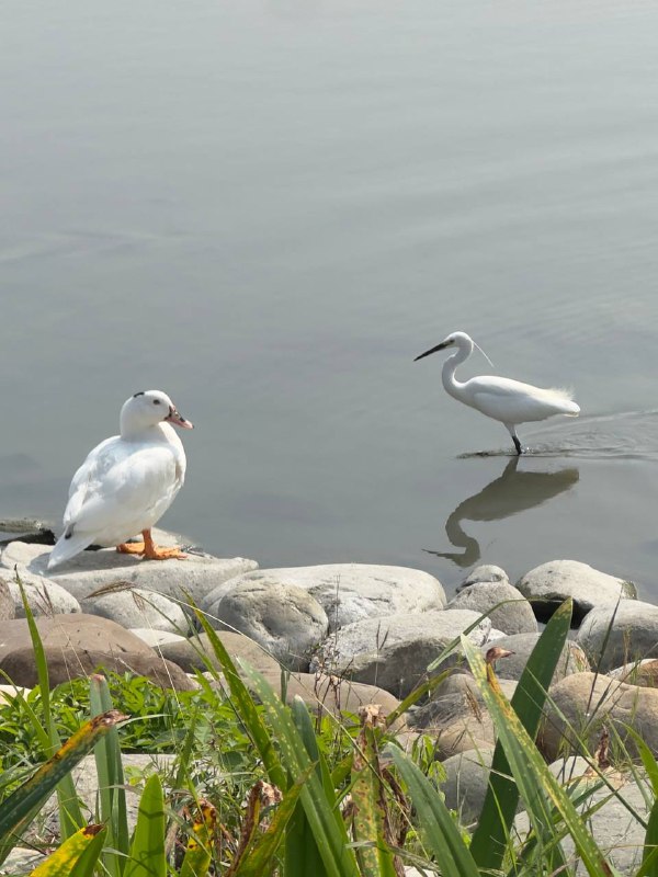 Всем привет, издаю признаки жизни! Сходил сегодня с утра в ближайшую достопримечательность, начал путь пешком, пройдя 20 минут, понял что уже жарко и сел на велосипед, это еще 30 минут, на нем хотя бы ветерок обдувает.Из дома я вышел в 9:30, к тому времени солнце уже поднимается, и утренние 20 градусов превращаются в 30 в пике дня. Осознал что в жизни, почти всегда, я посещал достопримечательности, либо катал на природу только компанией, сейчас учусь прививать себе регулярные поездки по новым интересными местам в одиночку, приходится буквально садиться, гуглить что можно посетить, планировать когда и заставлять себя туда ехать, очень непривычно после вылазок за компанию, к тому же и инициатором я почти никогда не был. Поправил режим сна, питание и ввел ежедневные утренние прогулки и ожил, спустя месяц затворничества и абсолютной разбитости.Пока как то так, по поводу поездок, начал с ближайшего и простейшего, но планирую еще много куда, так что буду на связи, всем хорошего дня!Всем привет, издаю признаки жизни! Сходил сегодня с утра в ближайшую достопримечательность, начал путь пешком, пройдя 20 минут, понял что уже жарко и сел на велосипед, это еще 30 минут, на нем хотя бы ветерок обдувает.Из дома я вышел в 9:30, к тому времени солнце уже поднимается, и утренние 20 градусов превращаются в 30 в пике дня. Осознал что в жизни, почти всегда, я посещал достопримечательности, либо катал на природу только компанией, сейчас учусь прививать себе регулярные поездки по новым интересными местам в одиночку, приходится буквально садиться, гуглить что можно посетить, планировать когда и заставлять себя туда ехать, очень непривычно после вылазок за компанию, к тому же и инициатором я почти никогда не был. Поправил режим сна, питание и ввел ежедневные утренние прогулки и ожил, спустя месяц затворничества и абсолютной разбитости.Пока как то так, по поводу поездок, начал с ближайшего и простейшего, но планирую еще много куда, так что буду на связи, всем хорошего дня!