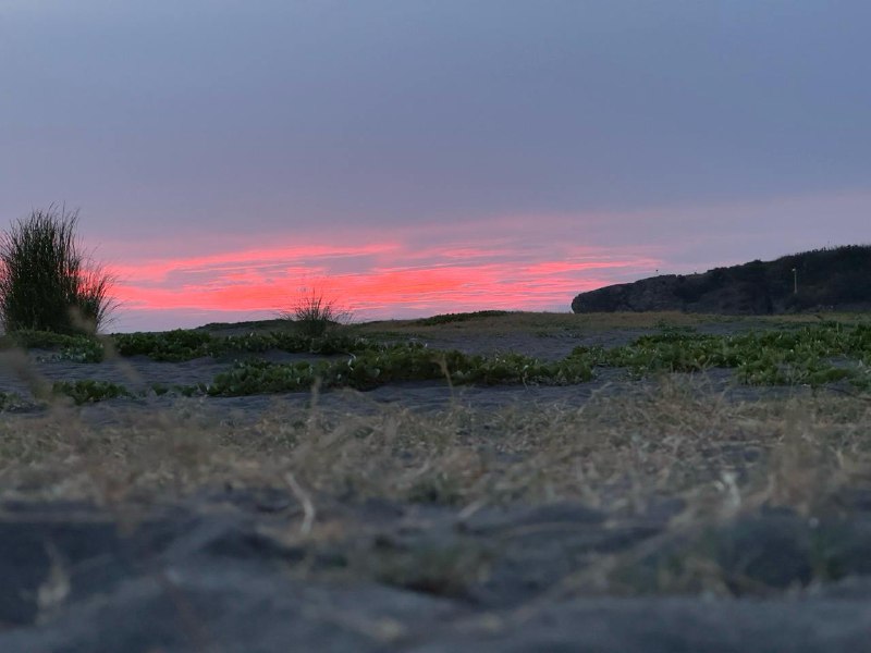 Нихау господа, Ильсур скиталец который уже давно не скиталец, снова на связи. Прошло 2 месяца обучения китайского языка, остался месяц обучения, пойду ли на второй семестр летом еще под большим вопросом, думаю о следующем варианте, за лето самостоятельно повторить весь материал первого семестра в более спокойном режиме и потом уже пойти на новый семестр и на новый уровень, так же  за это время перебраться ближе к универу, а то сейчас езжу каждый день на скутере по 35 минут в одну сторону.Но не будем о скучном, за этого время кроме сломанного мозга от нового языка, я так же приобрел некоторые новые знакомства, как среди других студентов, так и среди местных жителей. Что позволило мне очень сильно обогатить мои знания о местной жизни и о жизни в целом, узнал много местных заведений с едой и стал от этого реже готовить, потому что это действительно вкусно и дешево.У меня пропало всякое стеснение разговаривать на английском, потому что иначе вариантов просто не остается, делаю ошибки, повторяю префразировав, но говорю без толики смущения/стеснения/неуверенности, проще всего разговаривать с носителями, потому что им проще додумывать что я хочу сказать, когда пытаешься объяснить что-то сложное и у них понятное мне произношение, на слух я очень хорошо понимаю все уже давно. Но даже с местными у кого английский не родной часто легко разговаривать, потому что зачастую уровень одинаковый.Так же неделю назад попробовал дейтинг апп, чтобы чуть разнообразить круг общения, пока был один серьезный диалог и несколько встреч по нему, первый раз искупался в море на Тайване благодаря этому знакомству. Пока не загадываю, продолжаем общение.За эти месяцы читаю много стоиков, начал с современников, и углубился к первоисточникам вроде Марка Аврелия, письмам Люцилию и тд. Реально помогате фокусировать на настоящих задачах и ну утопать в мыслях о прошлом и будущем. Так же стал активно намернно больше двигаться, что вероятно тоже положительно повлияло на ментальное состояние, так что учимся активно жить дальше. Потому что какой-то глобальный смысл в жизни так найти и не удалось. Живу в настоящем, наслаждаюсь моментами и делаю от меня зависящее.Не знаю насколько будет интересно вам почитать про моих одноклассников, среди них есть киборг, пилот и инженер морских судов, интересная компания.Остановлюсь на этом, а то иначе меня не остановить, выдам вам книгу, вот поэтому нужно своевременно все рассказывать...P.S. так же купил новый шлем, не та бесплатная каска велосипелная, что шла с байком :)Нихау господа, Ильсур скиталец который уже давно не скиталец, снова на связи. Прошло 2 месяца обучения китайского языка, остался месяц обучения, пойду ли на второй семестр летом еще под большим вопросом, думаю о следующем варианте, за лето самостоятельно повторить весь материал первого семестра в более спокойном режиме и потом уже пойти на новый семестр и на новый уровень, так же  за это время перебраться ближе к универу, а то сейчас езжу каждый день на скутере по 35 минут в одну сторону.Но не будем о скучном, за этого время кроме сломанного мозга от нового языка, я так же приобрел некоторые новые знакомства, как среди других студентов, так и среди местных жителей. Что позволило мне очень сильно обогатить мои знания о местной жизни и о жизни в целом, узнал много местных заведений с едой и стал от этого реже готовить, потому что это действительно вкусно и дешево.У меня пропало всякое стеснение разговаривать на английском, потому что иначе вариантов просто не остается, делаю ошибки, повторяю префразировав, но говорю без толики смущения/стеснения/неуверенности, проще всего разговаривать с носителями, потому что им проще додумывать что я хочу сказать, когда пытаешься объяснить что-то сложное и у них понятное мне произношение, на слух я очень хорошо понимаю все уже давно. Но даже с местными у кого английский не родной часто легко разговаривать, потому что зачастую уровень одинаковый.Так же неделю назад попробовал дейтинг апп, чтобы чуть разнообразить круг общения, пока был один серьезный диалог и несколько встреч по нему, первый раз искупался в море на Тайване благодаря этому знакомству. Пока не загадываю, продолжаем общение.За эти месяцы читаю много стоиков, начал с современников, и углубился к первоисточникам вроде Марка Аврелия, письмам Люцилию и тд. Реально помогате фокусировать на настоящих задачах и ну утопать в мыслях о прошлом и будущем. Так же стал активно намернно больше двигаться, что вероятно тоже положительно повлияло на ментальное состояние, так что учимся активно жить дальше. Потому что какой-то глобальный смысл в жизни так найти и не удалось. Живу в настоящем, наслаждаюсь моментами и делаю от меня зависящее.Не знаю насколько будет интересно вам почитать про моих одноклассников, среди них есть киборг, пилот и инженер морских судов, интересная компания.Остановлюсь на этом, а то иначе меня не остановить, выдам вам книгу, вот поэтому нужно своевременно все рассказывать...P.S. так же купил новый шлем, не та бесплатная каска велосипелная, что шла с байком :)