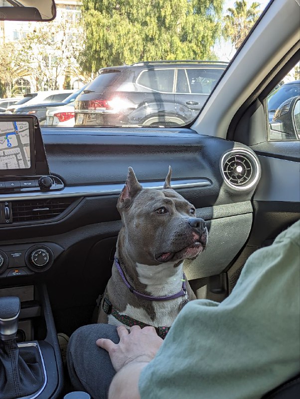 Скатались сегодня в мини Трип, в противоположную сторону от того направления, в которую ездили в прошлый раз и исключительно русскоговорящей компанией, шерстяная не в счёт.Скатались сегодня в мини Трип, в противоположную сторону от того направления, в которую ездили в прошлый раз и исключительно русскоговорящей компанией, шерстяная не в счёт.