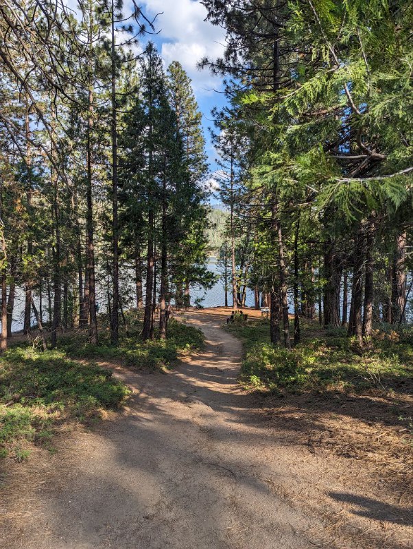 Я вернулся в цивилизацию, в общем в пятницу вечером взяв машину мы ехали 5 часов до места ночёвки, кемп лагерь, где мы поставили палатки и провели ночь, с утра сделали завтрак на газовой горелке, неспеша, устроили русское барбекю, обжаривая тонкие куски мяса на жире от бекона, прожаренного предварительно, исключительно с целью получить жир для жарки)Вообще это было не лучшее место для кемпа в плане видов, так как мы опомнились только за пару часов до выезда и начали искать место куда конкретно едем, и оказалось что все крутые места забиты, а тут куча своих нюансов, где можно ставить палатки где нет и ТД, так что поездка была тестовая понять нюансы, в следующий раз будем грамотнее проходить.Несмотря на такую неподготовленность это абсолютно не помешало нам поездить по паркам, увидеть древние огромные секвойи, посмотрите просто на масштаб, приблизьте восьмую фотку с парковки, там есть люди и они такие мелкие, так же поплавали в озере.Лимит текста заканчивается. Будет ещё пост с видео и больше эмоций!Я вернулся в цивилизацию, в общем в пятницу вечером взяв машину мы ехали 5 часов до места ночёвки, кемп лагерь, где мы поставили палатки и провели ночь, с утра сделали завтрак на газовой горелке, неспеша, устроили русское барбекю, обжаривая тонкие куски мяса на жире от бекона, прожаренного предварительно, исключительно с целью получить жир для жарки)Вообще это было не лучшее место для кемпа в плане видов, так как мы опомнились только за пару часов до выезда и начали искать место куда конкретно едем, и оказалось что все крутые места забиты, а тут куча своих нюансов, где можно ставить палатки где нет и ТД, так что поездка была тестовая понять нюансы, в следующий раз будем грамотнее проходить.Несмотря на такую неподготовленность это абсолютно не помешало нам поездить по паркам, увидеть древние огромные секвойи, посмотрите просто на масштаб, приблизьте восьмую фотку с парковки, там есть люди и они такие мелкие, так же поплавали в озере.Лимит текста заканчивается. Будет ещё пост с видео и больше эмоций!