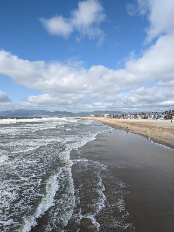 Вспоминая старую традицию съёмок котиков, только на этот раз морские)Вспоминая старую традицию съёмок котиков, только на этот раз морские)