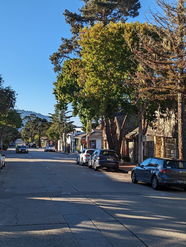 В субботу мы добрались до места ночёвки с палатками, но было дико холодно, градусов 6, хотя днём вполне себе тепло. Так как у меня тонкий спальник, в час ночи я ушел спать в машину, немного было лучше. Заводить не хотел, так как рядом были другие люди и не хотел им мешать спать.В целом пережил ночь, потом добрались до городка Carmel By The Sea, буквально минут 15 от места ночёвки, ближе к океану, это просто рай, излюбленное место местных богатых пенсионеров и мне очень понравились, супер спокойное, много больших деревьев, зелени и приятный европейский даунтаун, с огромным количеством кафешек. В общем очень уютный, но дорогой. Но по ощущениям намного приятнее Лос Анджелеса.Затем мы поехали уже в сторону сан франа, заехали сначала в долину, где стенфорд, Пало Альто, в общем где начинали все известные IT гиганты, такие как Google, Apple и тд, мы заехали в гости к уже бывшему коллеге, где он живёт с семьёй и провели пол дня у него.В целом кремниевая долина мне понравилась, по природе намного приятнее Лос Анджелеса, в последнем более пустынно.К вечеру после заката уже добрались в место нашего аирбнб, в сам город. Я пока мало что из самого города видел, снимать особо не мог, был за баранкой весь день, но завтра и другие дни буду изучать окрестности города передвигаясь без машины, на общественном транспорте и пешком, смогу больше рассказать показать.В субботу мы добрались до места ночёвки с палатками, но было дико холодно, градусов 6, хотя днём вполне себе тепло. Так как у меня тонкий спальник, в час ночи я ушел спать в машину, немного было лучше. Заводить не хотел, так как рядом были другие люди и не хотел им мешать спать.В целом пережил ночь, потом добрались до городка Carmel By The Sea, буквально минут 15 от места ночёвки, ближе к океану, это просто рай, излюбленное место местных богатых пенсионеров и мне очень понравились, супер спокойное, много больших деревьев, зелени и приятный европейский даунтаун, с огромным количеством кафешек. В общем очень уютный, но дорогой. Но по ощущениям намного приятнее Лос Анджелеса.Затем мы поехали уже в сторону сан франа, заехали сначала в долину, где стенфорд, Пало Альто, в общем где начинали все известные IT гиганты, такие как Google, Apple и тд, мы заехали в гости к уже бывшему коллеге, где он живёт с семьёй и провели пол дня у него.В целом кремниевая долина мне понравилась, по природе намного приятнее Лос Анджелеса, в последнем более пустынно.К вечеру после заката уже добрались в место нашего аирбнб, в сам город. Я пока мало что из самого города видел, снимать особо не мог, был за баранкой весь день, но завтра и другие дни буду изучать окрестности города передвигаясь без машины, на общественном транспорте и пешком, смогу больше рассказать показать.