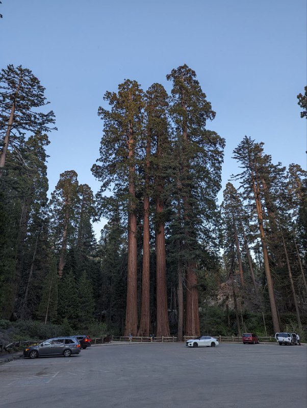 Я вернулся в цивилизацию, в общем в пятницу вечером взяв машину мы ехали 5 часов до места ночёвки, кемп лагерь, где мы поставили палатки и провели ночь, с утра сделали завтрак на газовой горелке, неспеша, устроили русское барбекю, обжаривая тонкие куски мяса на жире от бекона, прожаренного предварительно, исключительно с целью получить жир для жарки)Вообще это было не лучшее место для кемпа в плане видов, так как мы опомнились только за пару часов до выезда и начали искать место куда конкретно едем, и оказалось что все крутые места забиты, а тут куча своих нюансов, где можно ставить палатки где нет и ТД, так что поездка была тестовая понять нюансы, в следующий раз будем грамотнее проходить.Несмотря на такую неподготовленность это абсолютно не помешало нам поездить по паркам, увидеть древние огромные секвойи, посмотрите просто на масштаб, приблизьте восьмую фотку с парковки, там есть люди и они такие мелкие, так же поплавали в озере.Лимит текста заканчивается. Будет ещё пост с видео и больше эмоций!Я вернулся в цивилизацию, в общем в пятницу вечером взяв машину мы ехали 5 часов до места ночёвки, кемп лагерь, где мы поставили палатки и провели ночь, с утра сделали завтрак на газовой горелке, неспеша, устроили русское барбекю, обжаривая тонкие куски мяса на жире от бекона, прожаренного предварительно, исключительно с целью получить жир для жарки)Вообще это было не лучшее место для кемпа в плане видов, так как мы опомнились только за пару часов до выезда и начали искать место куда конкретно едем, и оказалось что все крутые места забиты, а тут куча своих нюансов, где можно ставить палатки где нет и ТД, так что поездка была тестовая понять нюансы, в следующий раз будем грамотнее проходить.Несмотря на такую неподготовленность это абсолютно не помешало нам поездить по паркам, увидеть древние огромные секвойи, посмотрите просто на масштаб, приблизьте восьмую фотку с парковки, там есть люди и они такие мелкие, так же поплавали в озере.Лимит текста заканчивается. Будет ещё пост с видео и больше эмоций!