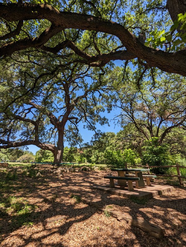 Первые впечатления от Техаса и Остина в частности, начали формироваться уже при подлёте к нему, столько зелени и лесов, по сравнению, с относительно пустынной, Калифорнией, напомнили мне Татарстан, такой же зелёный. Так что при приземлении словил сильное чувство ностальгии, потому что природа Калифорнии сильно отличается от привычной нам, жителям средней полосы России, а тут очень похожа.Сегодня сделали небольшой Трип на какую-то местную пешую тропу вдоль каменной речки, увидели черепаху и другие красоты. Погода очень приятная, как летним теплым российским днем.Пока так, первый отчёт готов.Первые впечатления от Техаса и Остина в частности, начали формироваться уже при подлёте к нему, столько зелени и лесов, по сравнению, с относительно пустынной, Калифорнией, напомнили мне Татарстан, такой же зелёный. Так что при приземлении словил сильное чувство ностальгии, потому что природа Калифорнии сильно отличается от привычной нам, жителям средней полосы России, а тут очень похожа.Сегодня сделали небольшой Трип на какую-то местную пешую тропу вдоль каменной речки, увидели черепаху и другие красоты. Погода очень приятная, как летним теплым российским днем.Пока так, первый отчёт готов.
