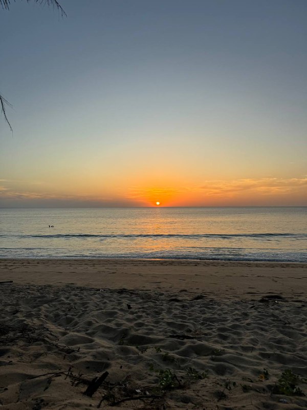 Всем доброго дня!В общем у нас собралась компания из 5 человек, 2 парочки и я и мы решили взять тачку и поехать все вместе за пределы острова, посмотреть красоты.Мы подошли очень безответственно к вопросу аренды и не искали особо лучшее предложение, а пошли в то же место где брали байки и взяли Honda City, за 1.5к бат в сутки с депозитом в 5к. От 3 дней было бы по 1к в сутки, но нам не подходило.Все было здорово, но на обратном пути снесли левое зеркало о грузовик, в момент удара, звук был такой, как будто с него сыпались камни, но нет, просто снесли зеркало. Мы остановились, грузовик этого даже не заметил и завернул на улицу и поехал дальше. Мы долго не думая поехали тоже дальше. Тревога быстро прошла, но было неприятно и немного стрессово из-за неопределенности того во сколько обойдется ремонт.В итоге сегодня отдали тачку, она сказал уточнит сколько стоит ремонт и напишет, депозит не отдали. И недавно написала, что деталь обойдется в 4500 бат, вроде не так все плохо.В общем вывод такой, нужно быть более бдительным когда ты автомобилист в Таиланде, учитывая правый руль и господство байкеров на дороге. Не я сидел за рулем но тем не мене у меня сложилось устойчивое впечатление, что байкером быть в Таиланде намного проще!Всем доброго дня!В общем у нас собралась компания из 5 человек, 2 парочки и я и мы решили взять тачку и поехать все вместе за пределы острова, посмотреть красоты.Мы подошли очень безответственно к вопросу аренды и не искали особо лучшее предложение, а пошли в то же место где брали байки и взяли Honda City, за 1.5к бат в сутки с депозитом в 5к. От 3 дней было бы по 1к в сутки, но нам не подходило.Все было здорово, но на обратном пути снесли левое зеркало о грузовик, в момент удара, звук был такой, как будто с него сыпались камни, но нет, просто снесли зеркало. Мы остановились, грузовик этого даже не заметил и завернул на улицу и поехал дальше. Мы долго не думая поехали тоже дальше. Тревога быстро прошла, но было неприятно и немного стрессово из-за неопределенности того во сколько обойдется ремонт.В итоге сегодня отдали тачку, она сказал уточнит сколько стоит ремонт и напишет, депозит не отдали. И недавно написала, что деталь обойдется в 4500 бат, вроде не так все плохо.В общем вывод такой, нужно быть более бдительным когда ты автомобилист в Таиланде, учитывая правый руль и господство байкеров на дороге. Не я сидел за рулем но тем не мене у меня сложилось устойчивое впечатление, что байкером быть в Таиланде намного проще!