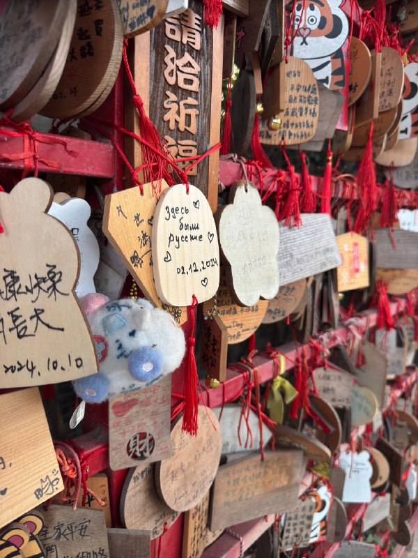 Всем привет, небольшой отчет об активной социализации!Когда я только прилетел на Тайвань и был в Тайбэе, в местном ру чате собрались с ребятами погулять, четверо по итогу нас было, до отъезда в Гаосюн гуляли как раз этой компанией +-. После были неудачные попытки собраться на шашлыки к одному участнику новоиспеченной группы, у нее муж местный и они живут в доме.И вот спустя несколько месяцев пришлось взять инициативу и запушить всех, чтобы наконец собрались, и это удалось, вчера к обеду на скоростном поезде поехал пару станций на север, в город Цзяи, туда же двое ребят из Тайбэя подъехали примерно к одному времени, откуда нас забрала Надя, с мужем Исяном на авто. Ну что, по итогу пожарили мясо, выпили, поболтали, соседи местные с детьми приходили к столу, компания вышла большая. Отдельное удовольствие наблюдать за детьми которых родители заставляют говорить на Английском))Тайбэйские ребята уехали вечером того же дня, а я решил остаться с ночовкой, потому что хотели погулять еще в городе на следующий день.У Исяна на Гусиной ферме произошло ЧП, поэтому не смог он к нам присоединиться, и нам пришлось ехать автобусами, пешком и тд, в общем погуляли, поели, устали и уже оттуда я поехал на станцию скоростного поезда, а Надя в свою деревню. В целом было весело и Исян забавный мужик, сам учит Русский, хоть и на ломанном но все же говорит, он в общем как вы могли догадаться, потомственный Гусевод, у него крупные гусиные фермы. А еще у них клевая ящерка по имени Люся)Фото мало, и шашлык грустный на фото, уже под конец решил щелкнуть, простите)Всем привет, небольшой отчет об активной социализации!Когда я только прилетел на Тайвань и был в Тайбэе, в местном ру чате собрались с ребятами погулять, четверо по итогу нас было, до отъезда в Гаосюн гуляли как раз этой компанией +-. После были неудачные попытки собраться на шашлыки к одному участнику новоиспеченной группы, у нее муж местный и они живут в доме.И вот спустя несколько месяцев пришлось взять инициативу и запушить всех, чтобы наконец собрались, и это удалось, вчера к обеду на скоростном поезде поехал пару станций на север, в город Цзяи, туда же двое ребят из Тайбэя подъехали примерно к одному времени, откуда нас забрала Надя, с мужем Исяном на авто. Ну что, по итогу пожарили мясо, выпили, поболтали, соседи местные с детьми приходили к столу, компания вышла большая. Отдельное удовольствие наблюдать за детьми которых родители заставляют говорить на Английском))Тайбэйские ребята уехали вечером того же дня, а я решил остаться с ночовкой, потому что хотели погулять еще в городе на следующий день.У Исяна на Гусиной ферме произошло ЧП, поэтому не смог он к нам присоединиться, и нам пришлось ехать автобусами, пешком и тд, в общем погуляли, поели, устали и уже оттуда я поехал на станцию скоростного поезда, а Надя в свою деревню. В целом было весело и Исян забавный мужик, сам учит Русский, хоть и на ломанном но все же говорит, он в общем как вы могли догадаться, потомственный Гусевод, у него крупные гусиные фермы. А еще у них клевая ящерка по имени Люся)Фото мало, и шашлык грустный на фото, уже под конец решил щелкнуть, простите)