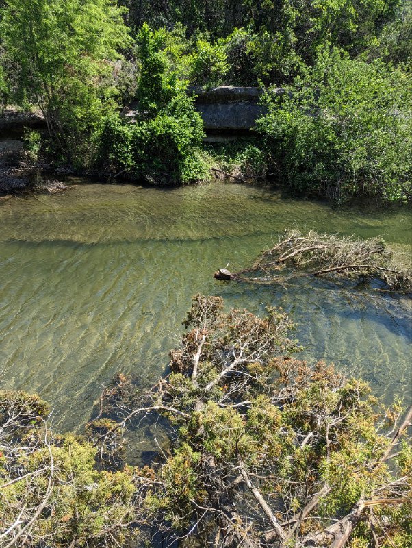 Первые впечатления от Техаса и Остина в частности, начали формироваться уже при подлёте к нему, столько зелени и лесов, по сравнению, с относительно пустынной, Калифорнией, напомнили мне Татарстан, такой же зелёный. Так что при приземлении словил сильное чувство ностальгии, потому что природа Калифорнии сильно отличается от привычной нам, жителям средней полосы России, а тут очень похожа.Сегодня сделали небольшой Трип на какую-то местную пешую тропу вдоль каменной речки, увидели черепаху и другие красоты. Погода очень приятная, как летним теплым российским днем.Пока так, первый отчёт готов.Первые впечатления от Техаса и Остина в частности, начали формироваться уже при подлёте к нему, столько зелени и лесов, по сравнению, с относительно пустынной, Калифорнией, напомнили мне Татарстан, такой же зелёный. Так что при приземлении словил сильное чувство ностальгии, потому что природа Калифорнии сильно отличается от привычной нам, жителям средней полосы России, а тут очень похожа.Сегодня сделали небольшой Трип на какую-то местную пешую тропу вдоль каменной речки, увидели черепаху и другие красоты. Погода очень приятная, как летним теплым российским днем.Пока так, первый отчёт готов.