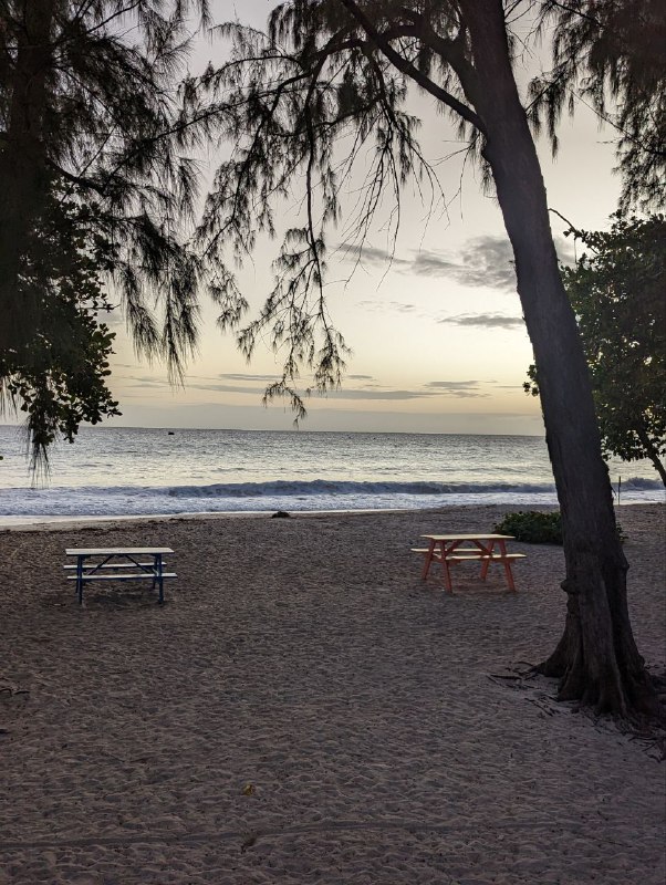 Ещё немного кадров, в общем пока все.Цены, все очень дорого, продукты, сервис, такси.Отели вообще заоблачные.Airbnb мне обошёлся в 60 долларов сутки, и на фоне всех остальных вариантов это ещё более менее.В КФС комбо обед стоит 13 долларов. По продуктам пока мало что могу сказать, позже расскажу.В баре посидел вчера, выпил 2 бутылки местного пива, ролл с креветками, фри, брауни, капучино и все это обошлось в 43 доллара, включая 15 процентов чаевых.10 минут на такси из аэропорта обошлось в 12 долларов.Принимают карту, пока везде где был. Один местный доллар равен ровно половине доллару США.Пытался плавать сегодня с утра, очень сильные волны, так что не рисковал заходить очень глубоко, только где доставал ногами, в целом весело попрыгал на волнах, от дома до пляжа по прямой 7 минут пешком.p.s. все цены указаны уже в us долларах.Ещё немного кадров, в общем пока все.Цены, все очень дорого, продукты, сервис, такси.Отели вообще заоблачные.Airbnb мне обошёлся в 60 долларов сутки, и на фоне всех остальных вариантов это ещё более менее.В КФС комбо обед стоит 13 долларов. По продуктам пока мало что могу сказать, позже расскажу.В баре посидел вчера, выпил 2 бутылки местного пива, ролл с креветками, фри, брауни, капучино и все это обошлось в 43 доллара, включая 15 процентов чаевых.10 минут на такси из аэропорта обошлось в 12 долларов.Принимают карту, пока везде где был. Один местный доллар равен ровно половине доллару США.Пытался плавать сегодня с утра, очень сильные волны, так что не рисковал заходить очень глубоко, только где доставал ногами, в целом весело попрыгал на волнах, от дома до пляжа по прямой 7 минут пешком.p.s. все цены указаны уже в us долларах.