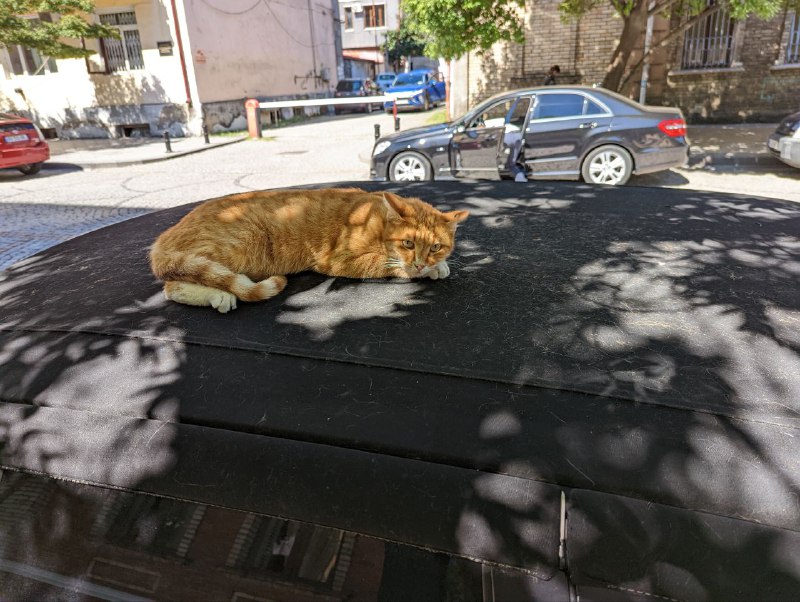 Всем привет, сегодня приятный нежаркий выходной в Батуми. Ходил по делам, погулял, немного пофоткал. В тени очень комфортно. Сильная жара спала после нескольких дней дождя.Нашел уютный ресторанчик, выглядит красиво, отзывы хорошие.Deliria