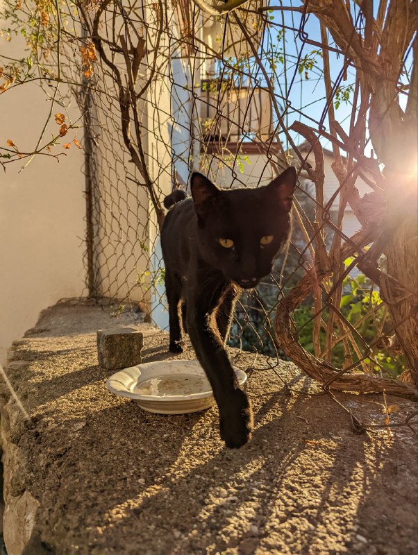 Настроения нет ничего писать, поэтому только такНастроения нет ничего писать, поэтому только так