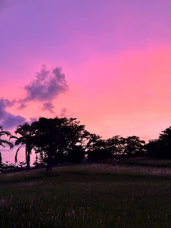 Всем привет, довольно давно не было включений!Расскзываю что случилось, работа в JB идет размеренно и потихоньку, прошло практически три месяца, прошел испыталку, не выгнали и на том спасибо. Так же как упоминал ранее, одновременно делал еще подработку, которая подходит к концу, до октября все должно быть готово, и после будет по проще со свободным временем, а то полседние 3 месяца были довольно плотные.А Сейчас происходит событие которое бывает раз в жизни, как мне кажется. Большая компания моих друзей из России собралась на совместный отдых в Таиланде, 10 дней, 10 человек, большая вилла с бассейном, что оказалось очень выгодно, когда делишь счет на всех. В данный момент они вероятно находятся на пересадку в Шанхае, а я сижу в лобби отеля в котором провел пару ночей и пишу этот текст, и жду пока мне подвезут мой байк и направлюсь постираться и после на виллу!А теперь к самому интересному, дальнейшие планы. Опьяненный приятным опытом учебы в языковой школе на Тайване, я решил исполнить свою давнюю 