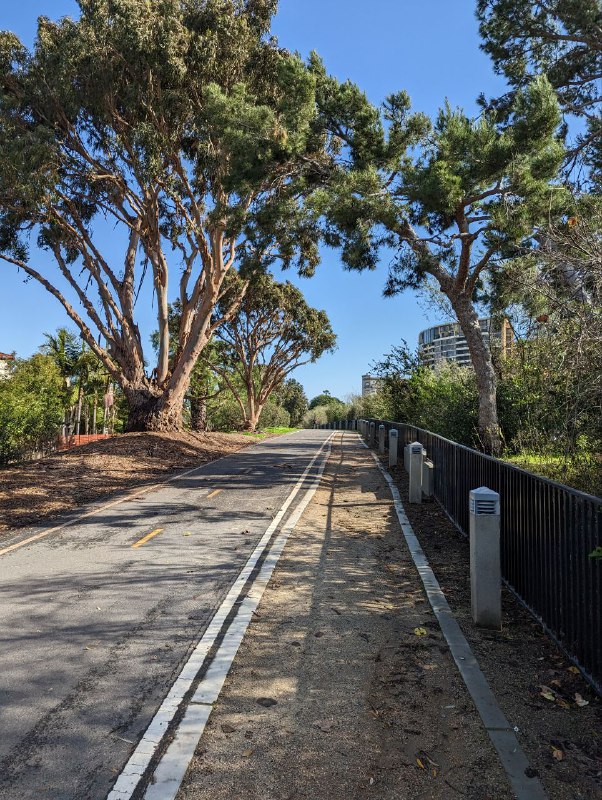 Вспоминая старую традицию съёмок котиков, только на этот раз морские)Вспоминая старую традицию съёмок котиков, только на этот раз морские)