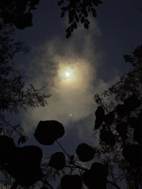 Немного кадров в ленту.В кратце текущая повестка:Учеба, из 3х месяцев  китайского я посетил без пропусков чуть больше 2х, затем перестал. Последний раз сходил в понедельник на этой неделе, а то уже учитель спрашивал когда я вернусь, хотя предупреждал что пока не знаю вернусь ли. Я вероятнее пойду снова на тот же уровень осенью или на следующий уровень если повторю весь материал первого семестра самостоятельно за лето.Утомился от дейтинг приложения, удалил, пожалел что пропустил один раз учебу, потом пошло по накатанной, потому что после пропуска один раз, ты думаешь что будешь уже обузой не зная новый материал и будешь тянуть всех вниз, да и стало очень жарко, уже по 33 днем на улице. В идеале к осени переехать, но много сомнений на этот повод, тут мне комфортно.Начал парттайм подработку, пока процесс оформления на фулл тайм еще в процессе, надеюсь успею с подработкой к тому времени.Всем хорошего лета! Жара это тяжело, но видимо из-за нее какие-то неверояино объемные облака образуются, гуляю, потею но наслаждаюсь!Немного кадров в ленту.В кратце текущая повестка:Учеба, из 3х месяцев  китайского я посетил без пропусков чуть больше 2х, затем перестал. Последний раз сходил в понедельник на этой неделе, а то уже учитель спрашивал когда я вернусь, хотя предупреждал что пока не знаю вернусь ли. Я вероятнее пойду снова на тот же уровень осенью или на следующий уровень если повторю весь материал первого семестра самостоятельно за лето.Утомился от дейтинг приложения, удалил, пожалел что пропустил один раз учебу, потом пошло по накатанной, потому что после пропуска один раз, ты думаешь что будешь уже обузой не зная новый материал и будешь тянуть всех вниз, да и стало очень жарко, уже по 33 днем на улице. В идеале к осени переехать, но много сомнений на этот повод, тут мне комфортно.Начал парттайм подработку, пока процесс оформления на фулл тайм еще в процессе, надеюсь успею с подработкой к тому времени.Всем хорошего лета! Жара это тяжело, но видимо из-за нее какие-то неверояино объемные облака образуются, гуляю, потею но наслаждаюсь!