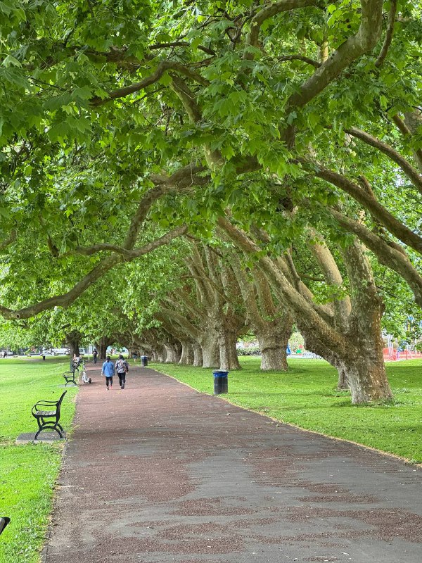 Сегодня совсем краткое включение, в итоге в Новой Зеландии, Окленде. Работаю уже третий день в городской библиотеке, и случайно сел напротив полки с русскоязычными книгами, сразу и не заметил :) Пост с впечатлениями будет позже!Сегодня совсем краткое включение, в итоге в Новой Зеландии, Окленде. Работаю уже третий день в городской библиотеке, и случайно сел напротив полки с русскоязычными книгами, сразу и не заметил :) Пост с впечатлениями будет позже!