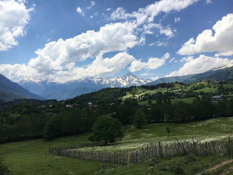 Я нашёл где пасутся коровы MilkaЯ нашёл где пасутся коровы Milka