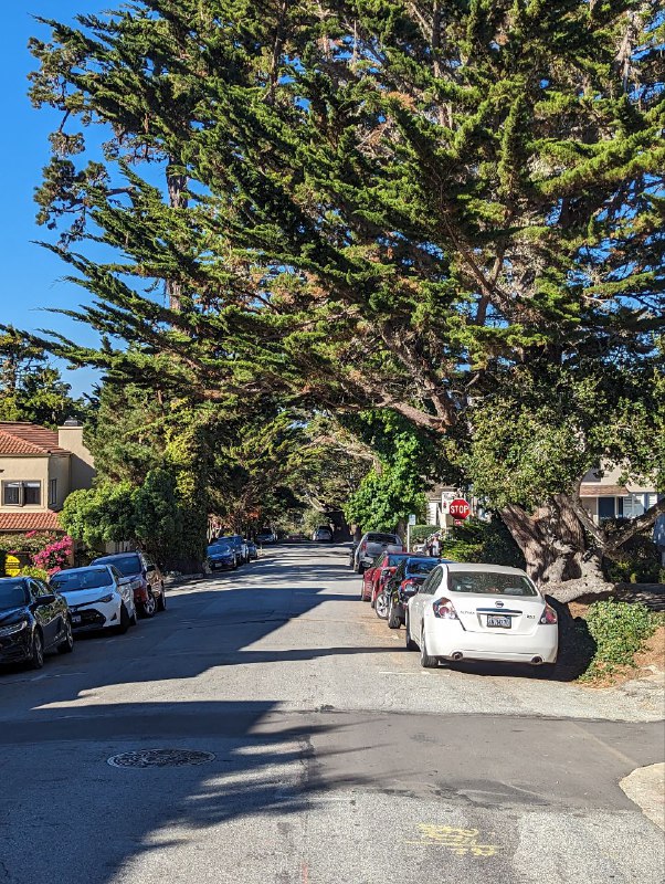 В субботу мы добрались до места ночёвки с палатками, но было дико холодно, градусов 6, хотя днём вполне себе тепло. Так как у меня тонкий спальник, в час ночи я ушел спать в машину, немного было лучше. Заводить не хотел, так как рядом были другие люди и не хотел им мешать спать.В целом пережил ночь, потом добрались до городка Carmel By The Sea, буквально минут 15 от места ночёвки, ближе к океану, это просто рай, излюбленное место местных богатых пенсионеров и мне очень понравились, супер спокойное, много больших деревьев, зелени и приятный европейский даунтаун, с огромным количеством кафешек. В общем очень уютный, но дорогой. Но по ощущениям намного приятнее Лос Анджелеса.Затем мы поехали уже в сторону сан франа, заехали сначала в долину, где стенфорд, Пало Альто, в общем где начинали все известные IT гиганты, такие как Google, Apple и тд, мы заехали в гости к уже бывшему коллеге, где он живёт с семьёй и провели пол дня у него.В целом кремниевая долина мне понравилась, по природе намного приятнее Лос Анджелеса, в последнем более пустынно.К вечеру после заката уже добрались в место нашего аирбнб, в сам город. Я пока мало что из самого города видел, снимать особо не мог, был за баранкой весь день, но завтра и другие дни буду изучать окрестности города передвигаясь без машины, на общественном транспорте и пешком, смогу больше рассказать показать.В субботу мы добрались до места ночёвки с палатками, но было дико холодно, градусов 6, хотя днём вполне себе тепло. Так как у меня тонкий спальник, в час ночи я ушел спать в машину, немного было лучше. Заводить не хотел, так как рядом были другие люди и не хотел им мешать спать.В целом пережил ночь, потом добрались до городка Carmel By The Sea, буквально минут 15 от места ночёвки, ближе к океану, это просто рай, излюбленное место местных богатых пенсионеров и мне очень понравились, супер спокойное, много больших деревьев, зелени и приятный европейский даунтаун, с огромным количеством кафешек. В общем очень уютный, но дорогой. Но по ощущениям намного приятнее Лос Анджелеса.Затем мы поехали уже в сторону сан франа, заехали сначала в долину, где стенфорд, Пало Альто, в общем где начинали все известные IT гиганты, такие как Google, Apple и тд, мы заехали в гости к уже бывшему коллеге, где он живёт с семьёй и провели пол дня у него.В целом кремниевая долина мне понравилась, по природе намного приятнее Лос Анджелеса, в последнем более пустынно.К вечеру после заката уже добрались в место нашего аирбнб, в сам город. Я пока мало что из самого города видел, снимать особо не мог, был за баранкой весь день, но завтра и другие дни буду изучать окрестности города передвигаясь без машины, на общественном транспорте и пешком, смогу больше рассказать показать.