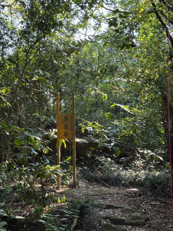 Сходил сегодня с утра погулять на горную тропу рядом с городом, в целом рассказал все в видео, что-то меня прорвало там, желаю вам терпения и прошу прощения)Сходил сегодня с утра погулять на горную тропу рядом с городом, в целом рассказал все в видео, что-то меня прорвало там, желаю вам терпения и прошу прощения)