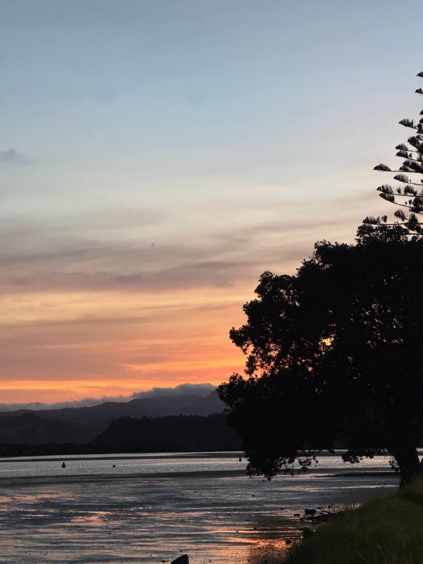 Ну что же ребятки, приветствую всех! Новый год пришел с хорошими новостями, мне одобрили студенческую визу! Так что я теперь выездной и могу находиться в НЗ до начала сентября. У меня есть около 8 месяцев, чтобы воплотить мой план в жизнь. Начиная со следующей недели у меня начинается свободный, от учебы в школе, месяц.Который в свое время я потрачу на усиленную  подготовку к IELTS, и собственно сдачи экзамена и параллельно начну искать местную работу подходящую под требования для подачи на straight to residence визы. Огромный плюс что на студенческой визе я могу работать легально 25 часов в неделю, так что я смогу доказать местным работодателям что я им подхожу и будет проще их убедить дать мне оффер который  так нужен мне для подачи на резидентскую визу.Так же я решил максимально увеличить свои шансы на экзамене и сдавать IELTS General вместо Academic, потому что его достаточно для иммиграционных целей но при этом сдать его на тот же бал легче чем академик. Но для учебы нужен будет уже академик, но я думаю смогу сдать его уже после того как будет и резидентство и еще качнется язык.Ну как то так, движемся дальше. Немного фото и видео с недавнего трипа в Coromandel :)P.s. вид изнутри пещеры с первой фотографии присутствует в обоях в windows 10 :)Ну что же ребятки, приветствую всех! Новый год пришел с хорошими новостями, мне одобрили студенческую визу! Так что я теперь выездной и могу находиться в НЗ до начала сентября. У меня есть около 8 месяцев, чтобы воплотить мой план в жизнь. Начиная со следующей недели у меня начинается свободный, от учебы в школе, месяц.Который в свое время я потрачу на усиленную  подготовку к IELTS, и собственно сдачи экзамена и параллельно начну искать местную работу подходящую под требования для подачи на straight to residence визы. Огромный плюс что на студенческой визе я могу работать легально 25 часов в неделю, так что я смогу доказать местным работодателям что я им подхожу и будет проще их убедить дать мне оффер который  так нужен мне для подачи на резидентскую визу.Так же я решил максимально увеличить свои шансы на экзамене и сдавать IELTS General вместо Academic, потому что его достаточно для иммиграционных целей но при этом сдать его на тот же бал легче чем академик. Но для учебы нужен будет уже академик, но я думаю смогу сдать его уже после того как будет и резидентство и еще качнется язык.Ну как то так, движемся дальше. Немного фото и видео с недавнего трипа в Coromandel :)P.s. вид изнутри пещеры с первой фотографии присутствует в обоях в windows 10 :)