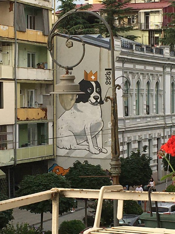 Вот вам интересная история. Сижу значит всю неделю на балконе и смотрю на рисунок этой собаки и кажется она мне дико знакомой, а в подъезде время от времени встречаю спящую, уличную собаку, которую иногда пускают поспать.Но жизнь так потаскала ее, что я сразу не узнал в ней эту весёлую собачку с картинки, а ведь это оказался действительно он, пёс купата, местная знаменитость, 2-3 года назад получивший известность, благодаря видео с его участием, которое завирусилось и о нем узнала вся Грузия, а потом и мир. В и итоге его и нарисовали.Ещё раз увидеть, чтобы заснять пока не удалось, а завтра съезжаю с этой квартиры.Сюжет про этого пса