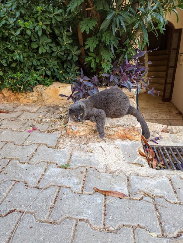 Добрый вечер, прерву молчание.Эти дни со среды были мукой как и в марте, когда ты судорожно читаешь целыми днями новости, смотришь новостной Ютюб и накручиваешь себя ещё больше.Но вот два дня как перестал смотреть на Ютюбе новостные видео, а читаю только текстовые короткие новости на медузе, чтобы быть в курсе, это помогает, не так напряжен и вернулся к работе.Хотел всем напомнить, что с 5 октября открывается прием заявок на лотерею гринкард, так что призываю участвовать всех тех, кто не выбрал что-то альтернативное. Я скину ссылки на инструкции после октрытия приема заявок. В этом году не нужно будет даже иметь загран паспорт, для участия.На этом пока все, желаю всем спокойствия и меньше тревожности.Добрый вечер, прерву молчание.Эти дни со среды были мукой как и в марте, когда ты судорожно читаешь целыми днями новости, смотришь новостной Ютюб и накручиваешь себя ещё больше.Но вот два дня как перестал смотреть на Ютюбе новостные видео, а читаю только текстовые короткие новости на медузе, чтобы быть в курсе, это помогает, не так напряжен и вернулся к работе.Хотел всем напомнить, что с 5 октября открывается прием заявок на лотерею гринкард, так что призываю участвовать всех тех, кто не выбрал что-то альтернативное. Я скину ссылки на инструкции после октрытия приема заявок. В этом году не нужно будет даже иметь загран паспорт, для участия.На этом пока все, желаю всем спокойствия и меньше тревожности.