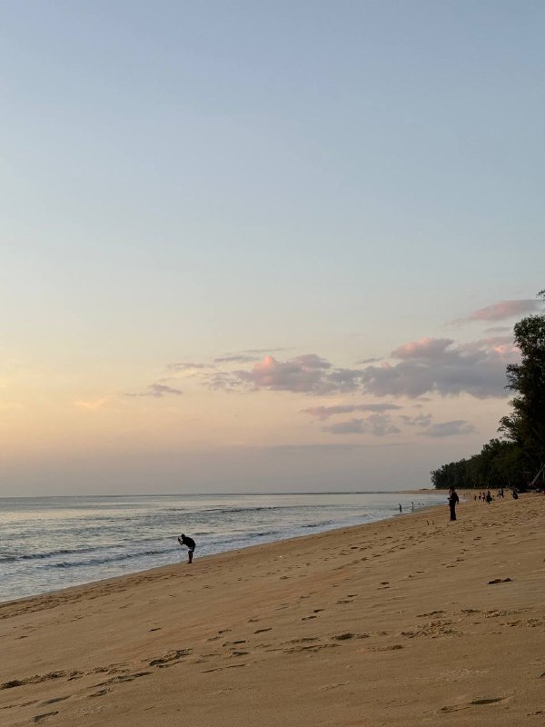 Всем доброго дня!В общем у нас собралась компания из 5 человек, 2 парочки и я и мы решили взять тачку и поехать все вместе за пределы острова, посмотреть красоты.Мы подошли очень безответственно к вопросу аренды и не искали особо лучшее предложение, а пошли в то же место где брали байки и взяли Honda City, за 1.5к бат в сутки с депозитом в 5к. От 3 дней было бы по 1к в сутки, но нам не подходило.Все было здорово, но на обратном пути снесли левое зеркало о грузовик, в момент удара, звук был такой, как будто с него сыпались камни, но нет, просто снесли зеркало. Мы остановились, грузовик этого даже не заметил и завернул на улицу и поехал дальше. Мы долго не думая поехали тоже дальше. Тревога быстро прошла, но было неприятно и немного стрессово из-за неопределенности того во сколько обойдется ремонт.В итоге сегодня отдали тачку, она сказал уточнит сколько стоит ремонт и напишет, депозит не отдали. И недавно написала, что деталь обойдется в 4500 бат, вроде не так все плохо.В общем вывод такой, нужно быть более бдительным когда ты автомобилист в Таиланде, учитывая правый руль и господство байкеров на дороге. Не я сидел за рулем но тем не мене у меня сложилось устойчивое впечатление, что байкером быть в Таиланде намного проще!Всем доброго дня!В общем у нас собралась компания из 5 человек, 2 парочки и я и мы решили взять тачку и поехать все вместе за пределы острова, посмотреть красоты.Мы подошли очень безответственно к вопросу аренды и не искали особо лучшее предложение, а пошли в то же место где брали байки и взяли Honda City, за 1.5к бат в сутки с депозитом в 5к. От 3 дней было бы по 1к в сутки, но нам не подходило.Все было здорово, но на обратном пути снесли левое зеркало о грузовик, в момент удара, звук был такой, как будто с него сыпались камни, но нет, просто снесли зеркало. Мы остановились, грузовик этого даже не заметил и завернул на улицу и поехал дальше. Мы долго не думая поехали тоже дальше. Тревога быстро прошла, но было неприятно и немного стрессово из-за неопределенности того во сколько обойдется ремонт.В итоге сегодня отдали тачку, она сказал уточнит сколько стоит ремонт и напишет, депозит не отдали. И недавно написала, что деталь обойдется в 4500 бат, вроде не так все плохо.В общем вывод такой, нужно быть более бдительным когда ты автомобилист в Таиланде, учитывая правый руль и господство байкеров на дороге. Не я сидел за рулем но тем не мене у меня сложилось устойчивое впечатление, что байкером быть в Таиланде намного проще!