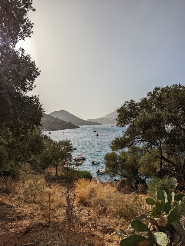 Всем привет. Новое включение.В самом Каше нормальных пляжей нет, только скалы и импровизированные площадки с лестницами в воду, поэтому сегодня я пошел на пляж, который находится в 20 минутах пешком от центра города. Дорога лёгкая, нет сильных перепадов высот. Сам пляж огонь, вода сказка, нужно взять маску в следующий раз. И да, сегодня очень жарко, как и все последние дни.Ну и без котеек не обошлось, а так же закатик.Всем мир.p.s. телега жутко режет качество видео, в комментах отправил без сжатияВсем привет. Новое включение.В самом Каше нормальных пляжей нет, только скалы и импровизированные площадки с лестницами в воду, поэтому сегодня я пошел на пляж, который находится в 20 минутах пешком от центра города. Дорога лёгкая, нет сильных перепадов высот. Сам пляж огонь, вода сказка, нужно взять маску в следующий раз. И да, сегодня очень жарко, как и все последние дни.Ну и без котеек не обошлось, а так же закатик.Всем мир.p.s. телега жутко режет качество видео, в комментах отправил без сжатия