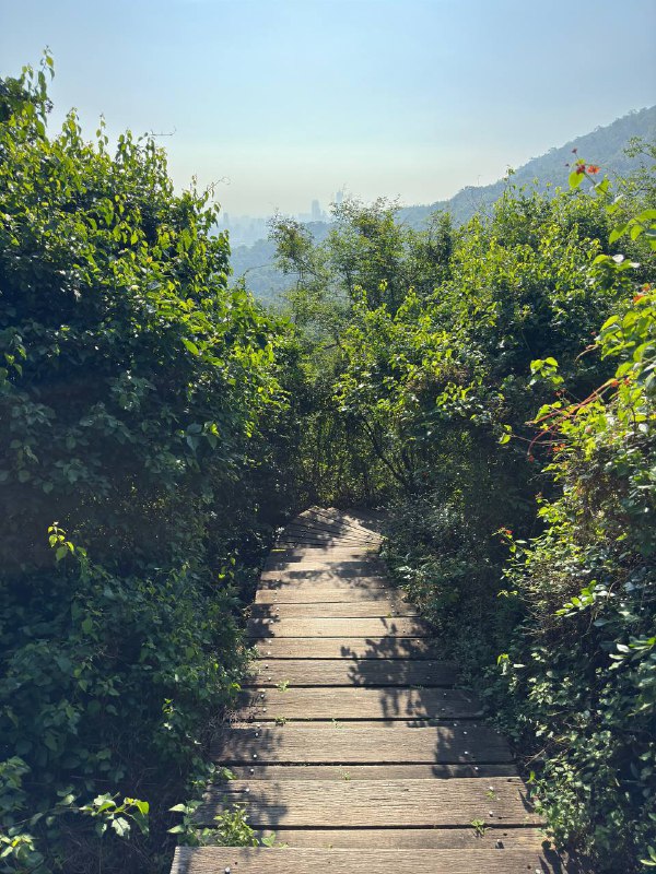 Сходил сегодня с утра погулять на горную тропу рядом с городом, в целом рассказал все в видео, что-то меня прорвало там, желаю вам терпения и прошу прощения)Сходил сегодня с утра погулять на горную тропу рядом с городом, в целом рассказал все в видео, что-то меня прорвало там, желаю вам терпения и прошу прощения)