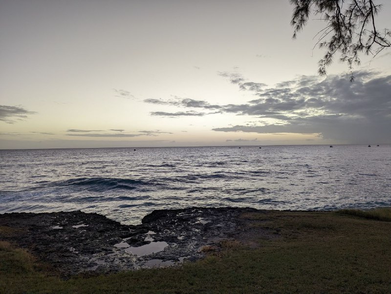 Ещё немного кадров, в общем пока все.Цены, все очень дорого, продукты, сервис, такси.Отели вообще заоблачные.Airbnb мне обошёлся в 60 долларов сутки, и на фоне всех остальных вариантов это ещё более менее.В КФС комбо обед стоит 13 долларов. По продуктам пока мало что могу сказать, позже расскажу.В баре посидел вчера, выпил 2 бутылки местного пива, ролл с креветками, фри, брауни, капучино и все это обошлось в 43 доллара, включая 15 процентов чаевых.10 минут на такси из аэропорта обошлось в 12 долларов.Принимают карту, пока везде где был. Один местный доллар равен ровно половине доллару США.Пытался плавать сегодня с утра, очень сильные волны, так что не рисковал заходить очень глубоко, только где доставал ногами, в целом весело попрыгал на волнах, от дома до пляжа по прямой 7 минут пешком.p.s. все цены указаны уже в us долларах.Ещё немного кадров, в общем пока все.Цены, все очень дорого, продукты, сервис, такси.Отели вообще заоблачные.Airbnb мне обошёлся в 60 долларов сутки, и на фоне всех остальных вариантов это ещё более менее.В КФС комбо обед стоит 13 долларов. По продуктам пока мало что могу сказать, позже расскажу.В баре посидел вчера, выпил 2 бутылки местного пива, ролл с креветками, фри, брауни, капучино и все это обошлось в 43 доллара, включая 15 процентов чаевых.10 минут на такси из аэропорта обошлось в 12 долларов.Принимают карту, пока везде где был. Один местный доллар равен ровно половине доллару США.Пытался плавать сегодня с утра, очень сильные волны, так что не рисковал заходить очень глубоко, только где доставал ногами, в целом весело попрыгал на волнах, от дома до пляжа по прямой 7 минут пешком.p.s. все цены указаны уже в us долларах.