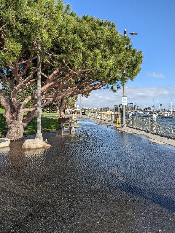 Вспоминая старую традицию съёмок котиков, только на этот раз морские)Вспоминая старую традицию съёмок котиков, только на этот раз морские)