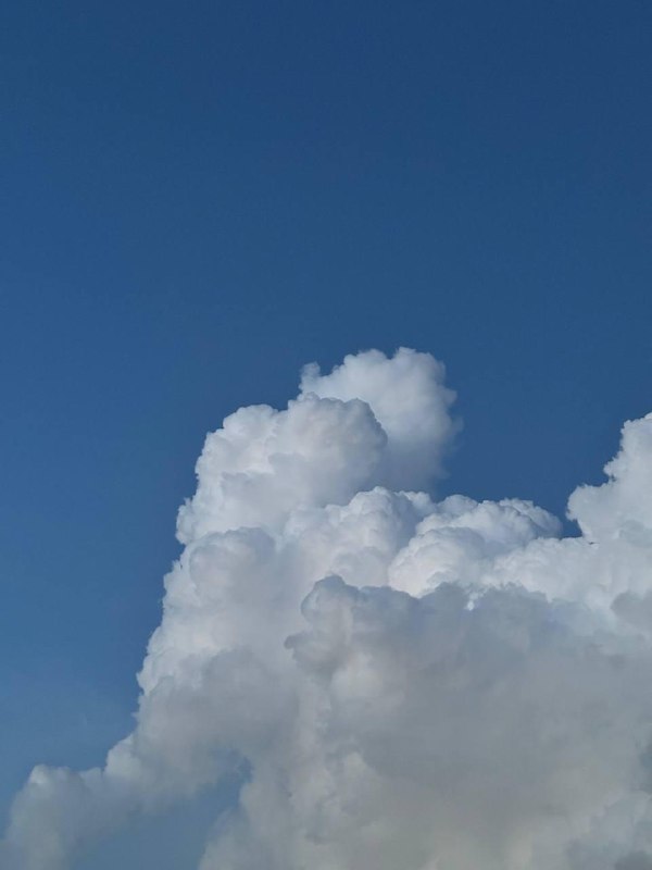 Немного кадров в ленту.В кратце текущая повестка:Учеба, из 3х месяцев  китайского я посетил без пропусков чуть больше 2х, затем перестал. Последний раз сходил в понедельник на этой неделе, а то уже учитель спрашивал когда я вернусь, хотя предупреждал что пока не знаю вернусь ли. Я вероятнее пойду снова на тот же уровень осенью или на следующий уровень если повторю весь материал первого семестра самостоятельно за лето.Утомился от дейтинг приложения, удалил, пожалел что пропустил один раз учебу, потом пошло по накатанной, потому что после пропуска один раз, ты думаешь что будешь уже обузой не зная новый материал и будешь тянуть всех вниз, да и стало очень жарко, уже по 33 днем на улице. В идеале к осени переехать, но много сомнений на этот повод, тут мне комфортно.Начал парттайм подработку, пока процесс оформления на фулл тайм еще в процессе, надеюсь успею с подработкой к тому времени.Всем хорошего лета! Жара это тяжело, но видимо из-за нее какие-то неверояино объемные облака образуются, гуляю, потею но наслаждаюсь!Немного кадров в ленту.В кратце текущая повестка:Учеба, из 3х месяцев  китайского я посетил без пропусков чуть больше 2х, затем перестал. Последний раз сходил в понедельник на этой неделе, а то уже учитель спрашивал когда я вернусь, хотя предупреждал что пока не знаю вернусь ли. Я вероятнее пойду снова на тот же уровень осенью или на следующий уровень если повторю весь материал первого семестра самостоятельно за лето.Утомился от дейтинг приложения, удалил, пожалел что пропустил один раз учебу, потом пошло по накатанной, потому что после пропуска один раз, ты думаешь что будешь уже обузой не зная новый материал и будешь тянуть всех вниз, да и стало очень жарко, уже по 33 днем на улице. В идеале к осени переехать, но много сомнений на этот повод, тут мне комфортно.Начал парттайм подработку, пока процесс оформления на фулл тайм еще в процессе, надеюсь успею с подработкой к тому времени.Всем хорошего лета! Жара это тяжело, но видимо из-за нее какие-то неверояино объемные облака образуются, гуляю, потею но наслаждаюсь!