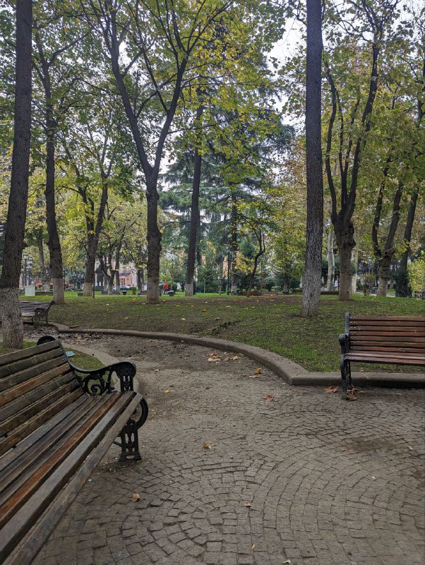 Сижу в парке, ощущаю себя практически Берлиозом на патриарших, не хватает только Ивана бездомного и Воланда. Размышляю о бытие!А так сходил ещё раз в банк с утра, они конечно сказали позвонят, но я решил все равно попробовать, так что чего и следовало ожидать, расследования о пропавшем переводе все ещё в процессе, сказали занимает обычно 1-2 рабочих дня, так что ждём.Гуляю но не так много, сегодня хорошая погода, потому что нет солнца, приятная прохлада, давно такой хотел, а то в ЛА было перманентно солнечно, что тоже может надоесть.Из интересного есть одна история. В понедельник на обед заходил в ресторанчик в подвале дома в котором живу.Там полно фоток хозяина с гостями, но видимо он уже умер, так как второй день подряд его не было, но может ошибаюсь.Так вот, взял я поесть оджахури (жареная картошка с мясом и овощами) и бокальчик домашнего красного вина, саперави, очень нравится, потому что обычно не такое горькое как бутылочное, а так же легко пьется и быстро возвышает.Так вот на второй день тоже попросил бокальчик вина и хачапури, но мне принесли графин полулитровый и оказалось что это бесплатно, поэтому пришлось допивать, это было оч много, хоть и зашло хорошо и я был сильно пьян, ну не так чтобы тошнило, а приятно без последствий, не пересекая грань. Но потом я просто вернулся домой и уснул до вечера и ночью не мог поэтому толком уснуть. Не думаю что буду пить ещё вино в этот приезд)Сижу в парке, ощущаю себя практически Берлиозом на патриарших, не хватает только Ивана бездомного и Воланда. Размышляю о бытие!А так сходил ещё раз в банк с утра, они конечно сказали позвонят, но я решил все равно попробовать, так что чего и следовало ожидать, расследования о пропавшем переводе все ещё в процессе, сказали занимает обычно 1-2 рабочих дня, так что ждём.Гуляю но не так много, сегодня хорошая погода, потому что нет солнца, приятная прохлада, давно такой хотел, а то в ЛА было перманентно солнечно, что тоже может надоесть.Из интересного есть одна история. В понедельник на обед заходил в ресторанчик в подвале дома в котором живу.Там полно фоток хозяина с гостями, но видимо он уже умер, так как второй день подряд его не было, но может ошибаюсь.Так вот, взял я поесть оджахури (жареная картошка с мясом и овощами) и бокальчик домашнего красного вина, саперави, очень нравится, потому что обычно не такое горькое как бутылочное, а так же легко пьется и быстро возвышает.Так вот на второй день тоже попросил бокальчик вина и хачапури, но мне принесли графин полулитровый и оказалось что это бесплатно, поэтому пришлось допивать, это было оч много, хоть и зашло хорошо и я был сильно пьян, ну не так чтобы тошнило, а приятно без последствий, не пересекая грань. Но потом я просто вернулся домой и уснул до вечера и ночью не мог поэтому толком уснуть. Не думаю что буду пить ещё вино в этот приезд)