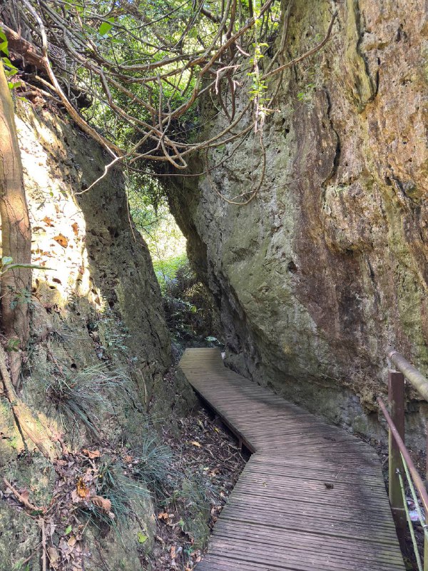 Сходил сегодня с утра погулять на горную тропу рядом с городом, в целом рассказал все в видео, что-то меня прорвало там, желаю вам терпения и прошу прощения)Сходил сегодня с утра погулять на горную тропу рядом с городом, в целом рассказал все в видео, что-то меня прорвало там, желаю вам терпения и прошу прощения)